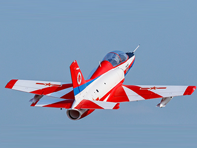 Freewing K-8 Karakorum 80mm PNP Jet