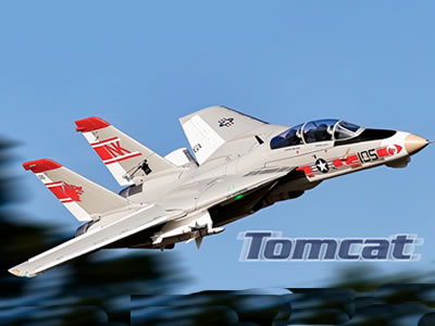 Freewing F-14 V2 Tomcat Twin 64mm EDF PNP Jet