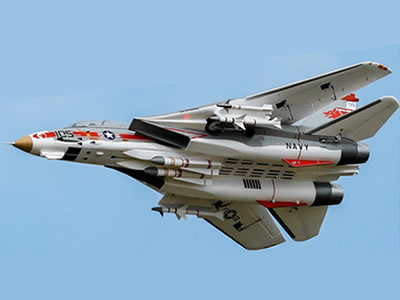 Freewing F-14 V2 Tomcat Twin 64mm ARF Plus RC Jet